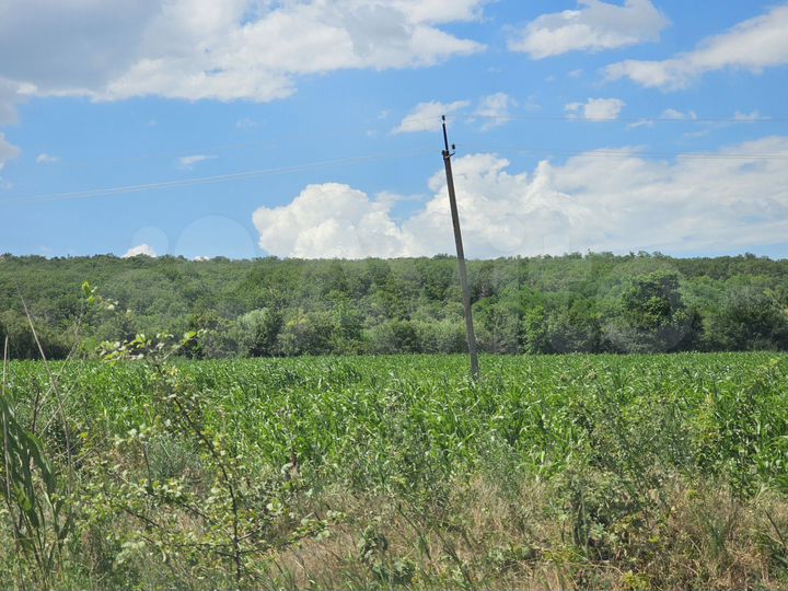 Участок 17,13 га (ИЖС)