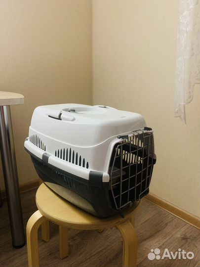 Прокат переноски для кошек и собак