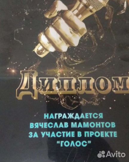 Музыкант и Тамада