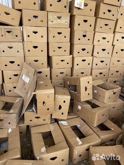 Банановые коробки бу опт