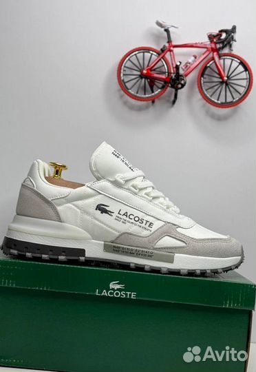 Кроссовки Lacoste premium