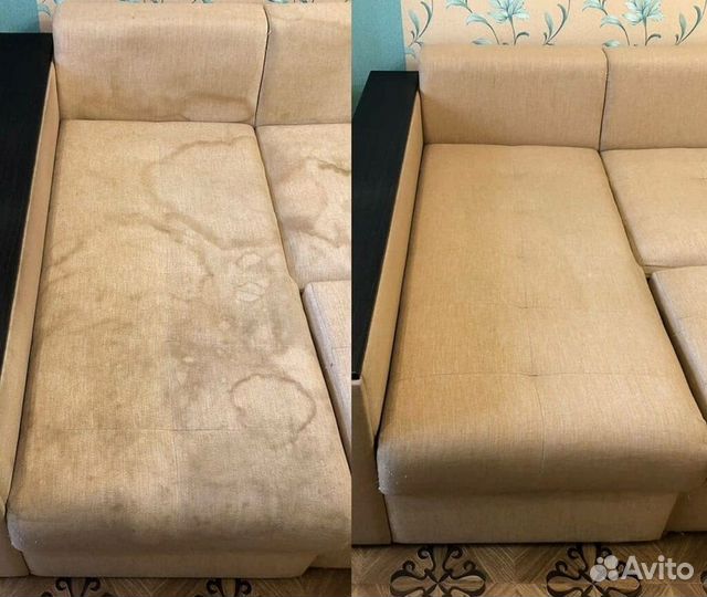 Аренда моющего пылесоса Karcher Puzzi 10/1