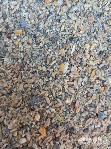 Зерносмесь дробленка