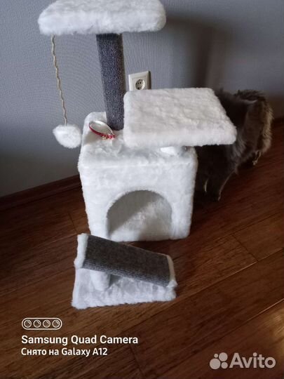 Домик для кошки новый