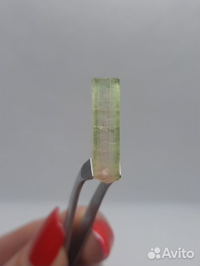 Арбузный турмалин