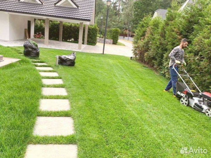 Рулонный газон