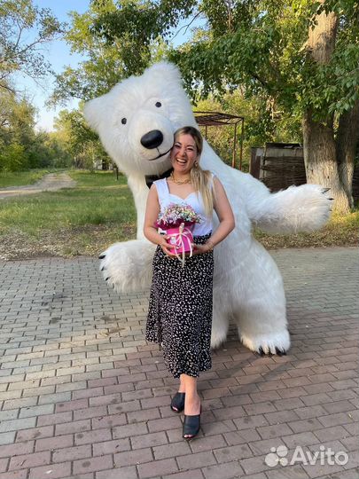 Поздравление Белого Медведя