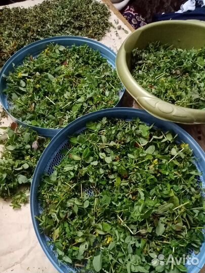 Сушилка су-1 для овощей 