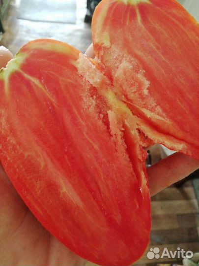 Семена помидор