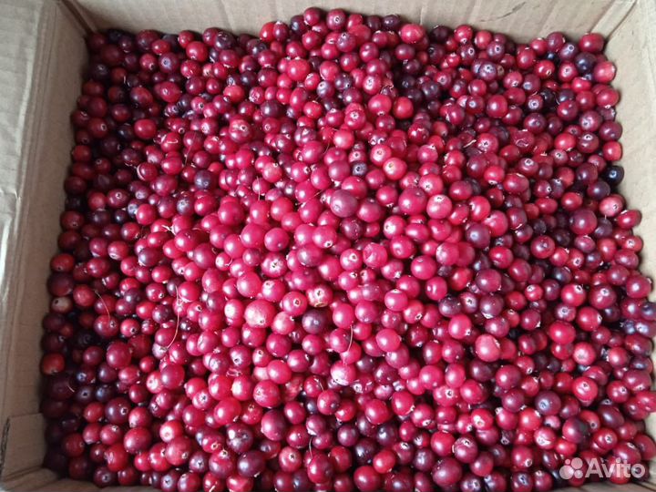 Продукты питания