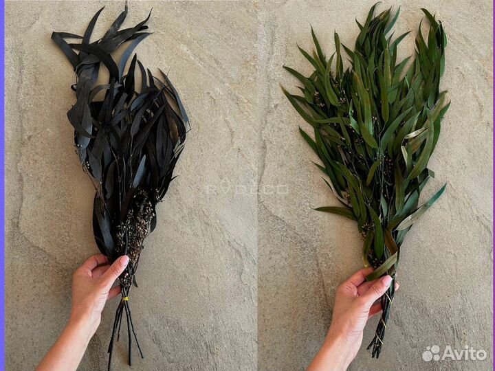 Стабилизированные растения и сухоцветы