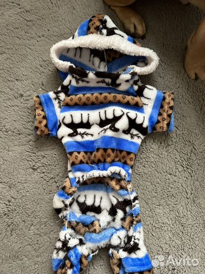 Одежда для маленьких собак