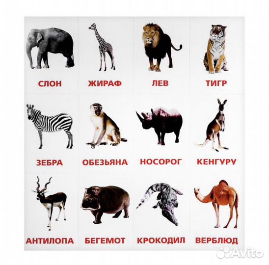 Карточки Домана