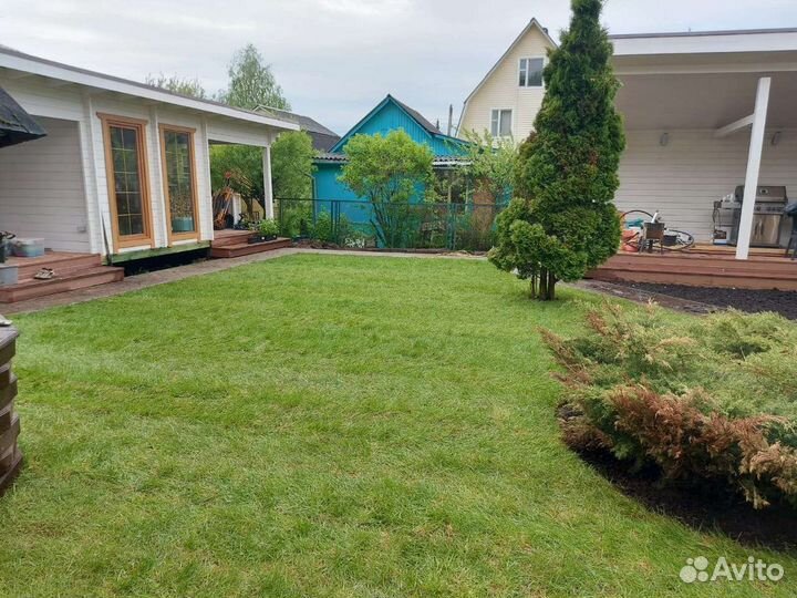 Рулонный газон от производителя