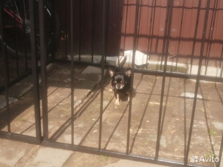 Вольер для собаки