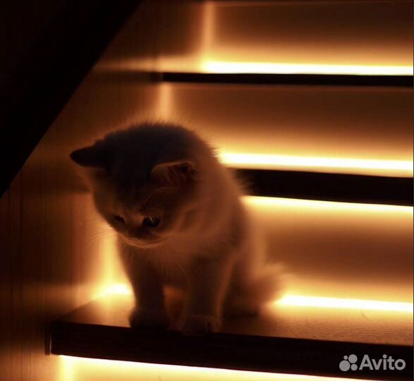 Подсветка лестницы с датчиками движения