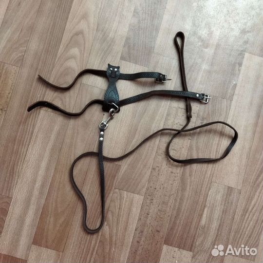 Поводок и шлейка для кошек