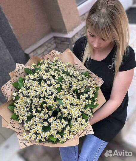 Цветы ромашки