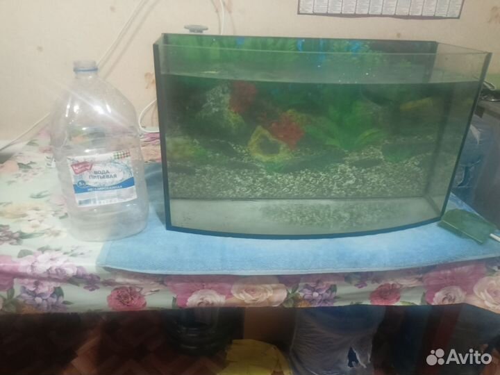 Украшения для аквариума