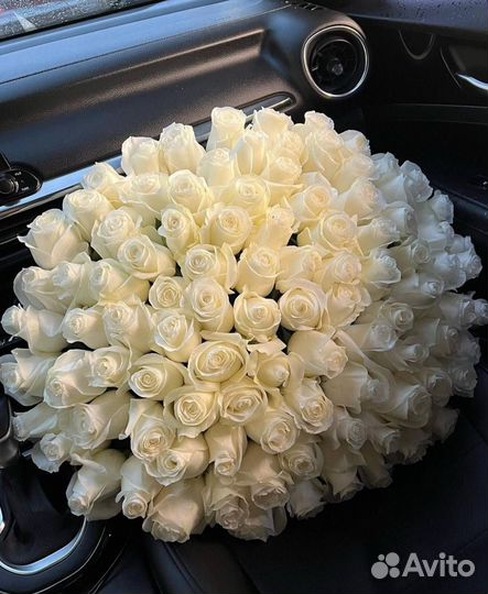 51 доставка 201 Роза 101 Роза Цветы