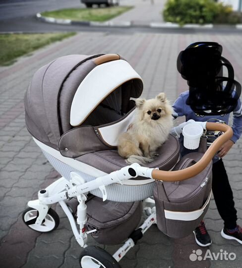 Коляска 2 в 1 adamex monte carbon d34 темно-бежевы