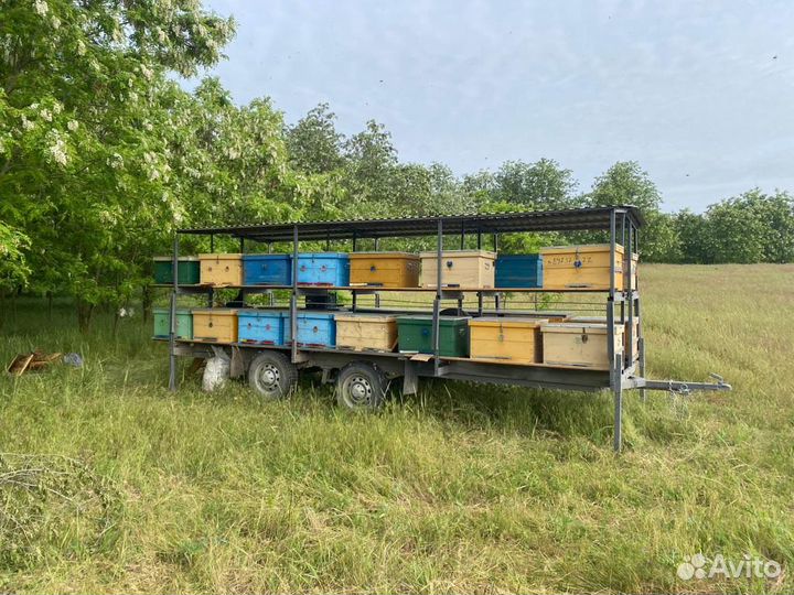 Прицеп с пчелами