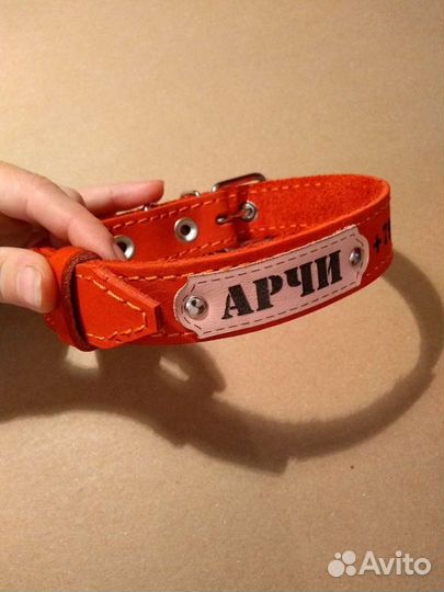 Адресные ошейники