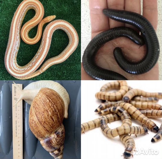 Игра,Угадай, что в коробке’’