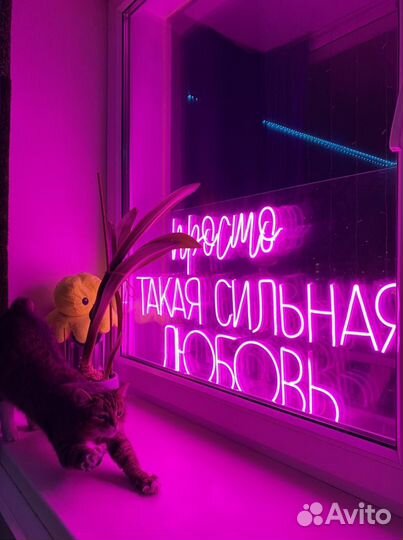 Декорации для свадьбы