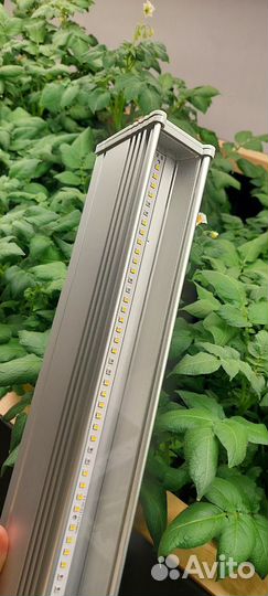 Фитосветильник полный спектр