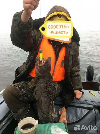 Морская рыбалка,охота, белое море, треска, зубатка