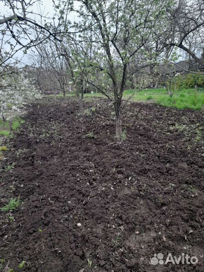 Благоустройство сада