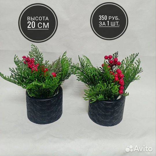 Искусственные растения в гипсовом кашпо