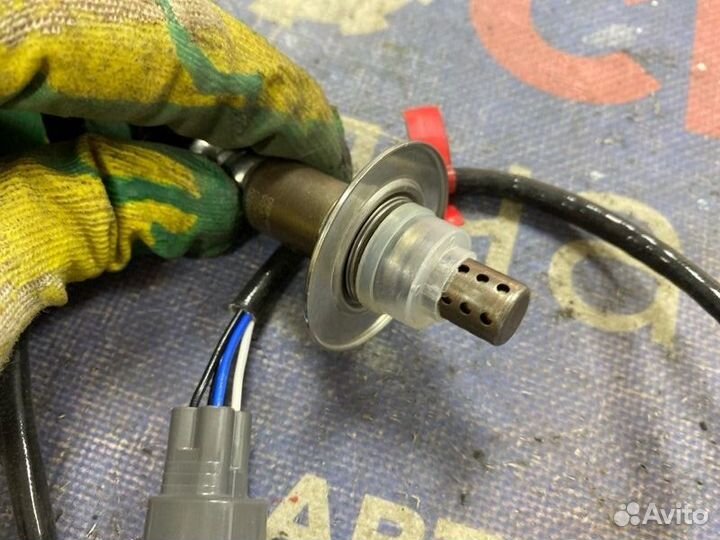 Датчик кислородный Subaru Forester SG5 EJ203