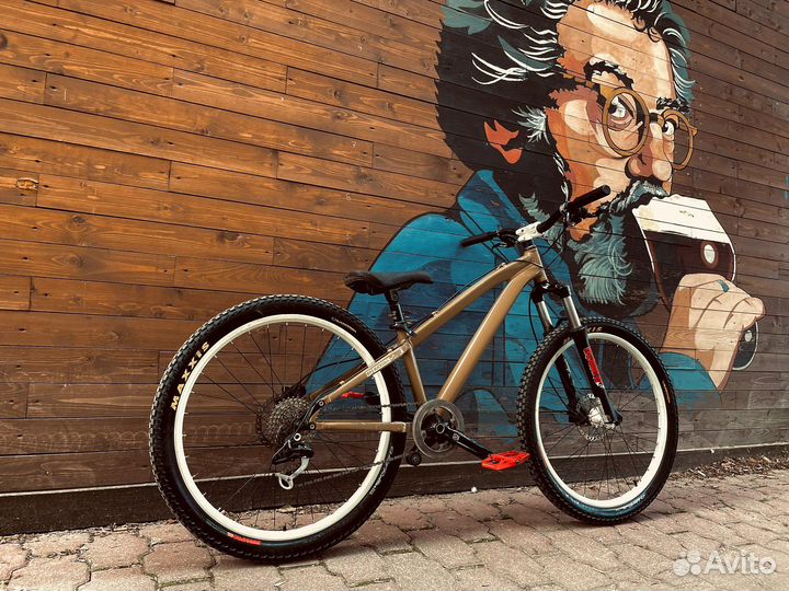 Gt ruckus dx 26 dirt street