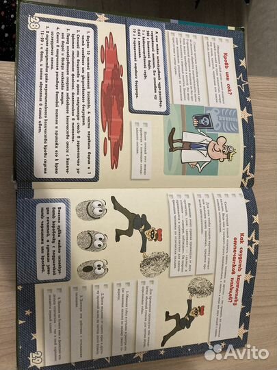 Большая книга тайн для мальчиков