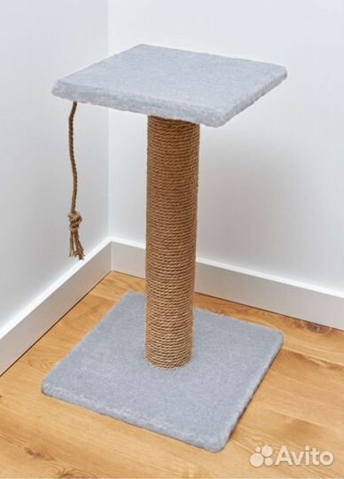 Когтеточка