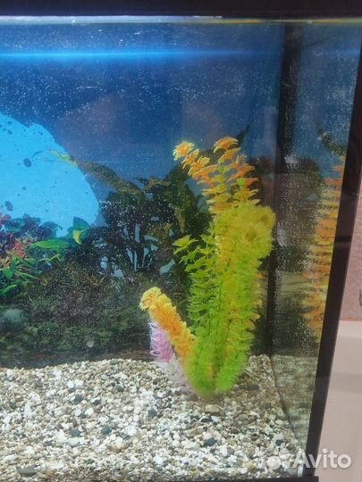 Аквариум 120 литров