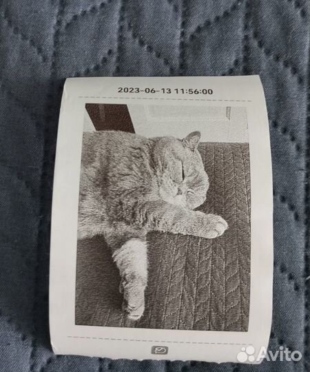 Термопринтер