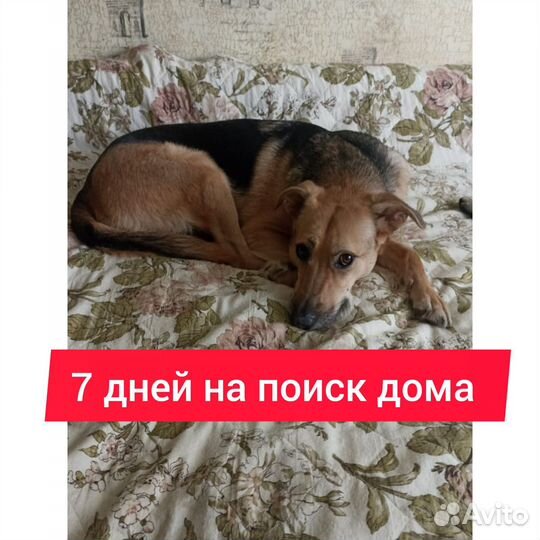 Помогите спасти