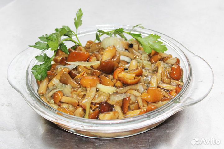 Грибы маринованные Оптом. Опята