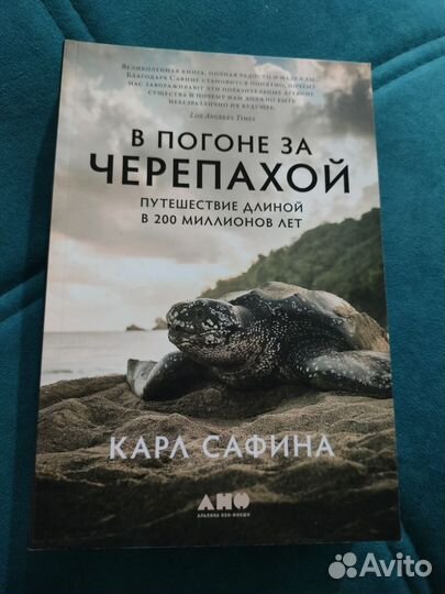 В погоне за черепахой