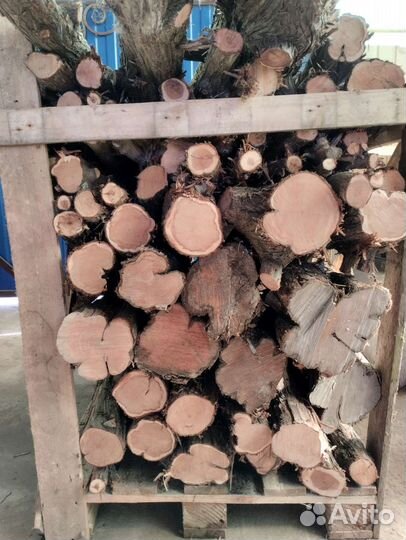 Стволы и спилы кавказского можжевельника