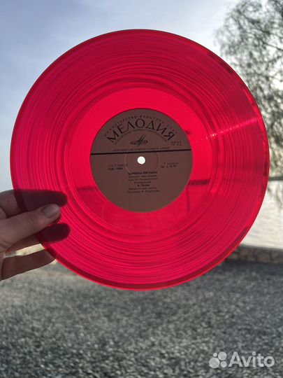 Виниловые пластинки для декора