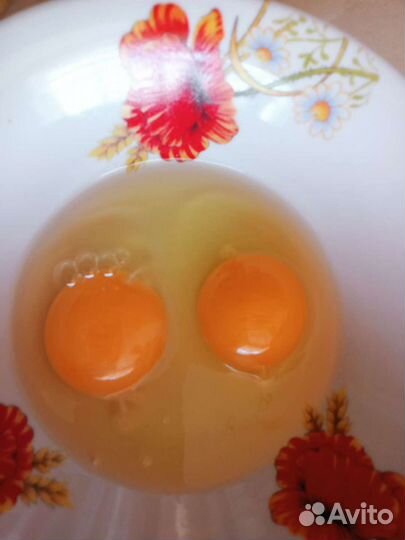 Яйцо куриное Оптом