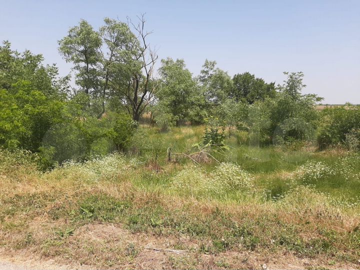 Участок 25 сот. (ИЖС)