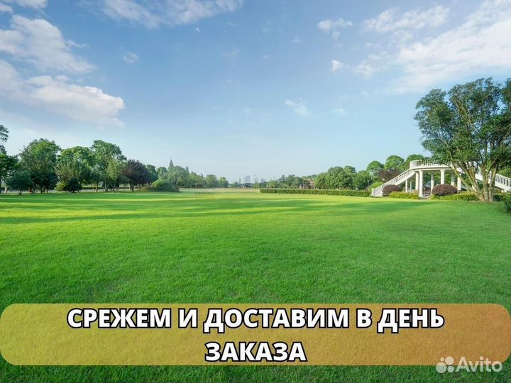 Рулонный газон, укладка, продажа