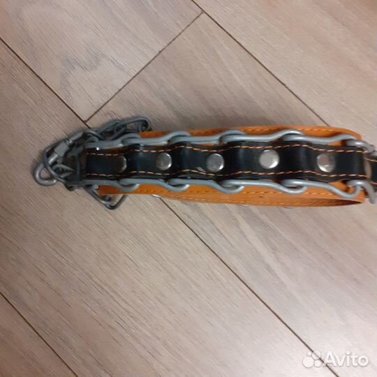 Строгий ошейник для собак