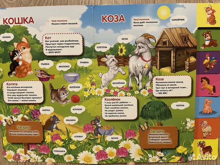 Детская развивающая книжка. Стихи