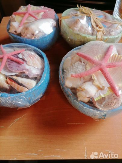 Морские ракушки раковины